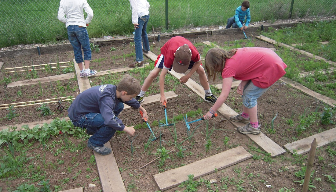 Sow to Grow: Implementing a Scholar Sustainable Garden