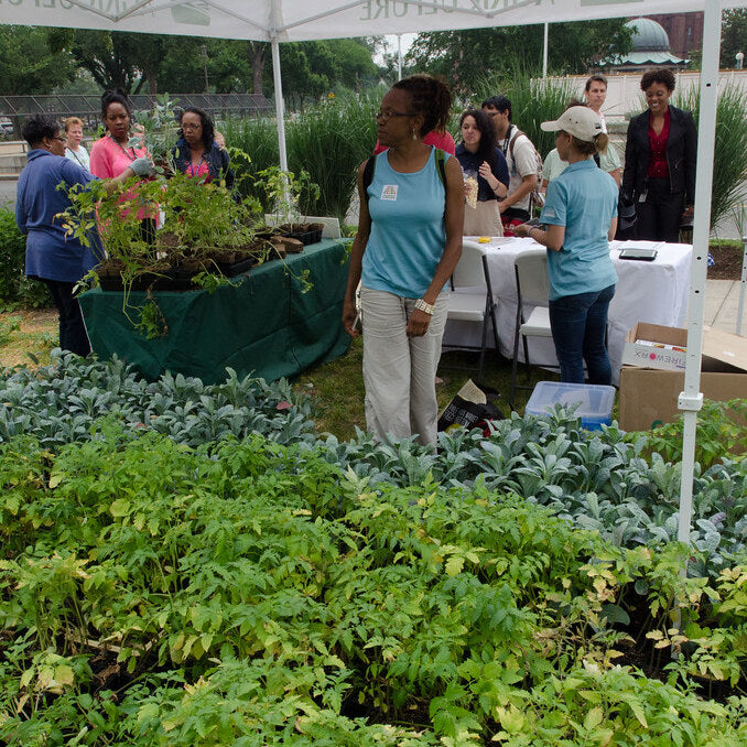 Permaculture: Sustainable Design for a Resilient Future