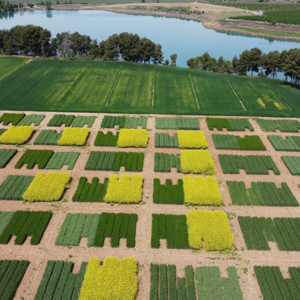 Course on Sustainable Horticulture